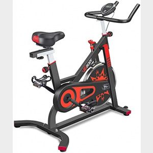 VIGBODY Exercise Bike Indoor Cycling Bicycle Stationary Bikes Cardio Workout Machine Upright Bike Belt Drive Home Gym